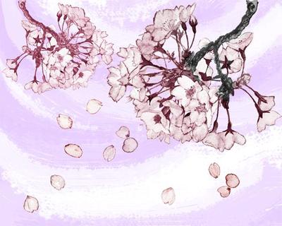 和風メガネ拭きデザイン１桜