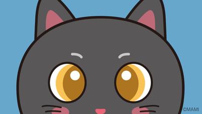 琥珀色の瞳をした黒猫