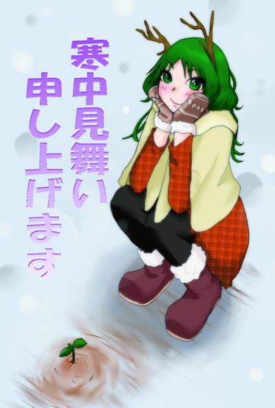 2013年寒中見舞い