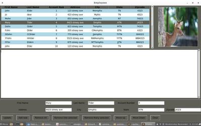 Desktop App 