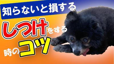 ペット関連の動画サムネ作成いたします！