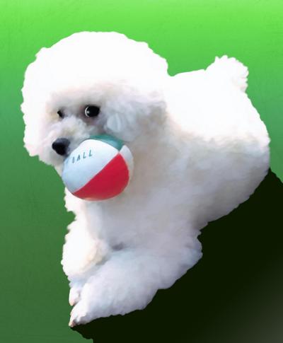 ペットの似顔絵