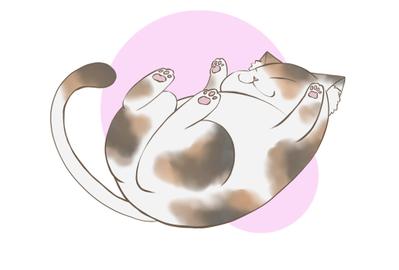 猫のアイコン