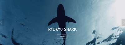 Ryukyu Shark様／Shopifyデザイン・構築
