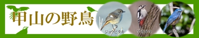 甲山野鳥サイト用バナー