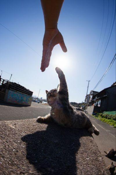 俺に　任せろ！