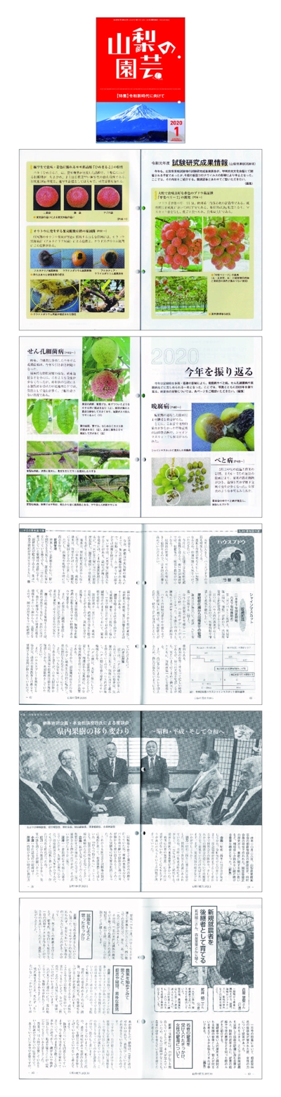 （2019）果樹専門月刊誌「山梨の園芸」誌面デザイン