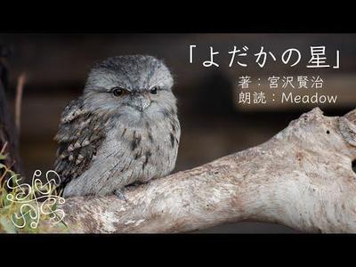 『よだかの星』宮沢賢治 著