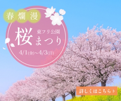 桜祭りバナー
