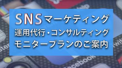 「法人向けSNS運用コンサルティング説明資料」