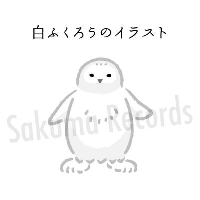 動物（白ふくろう）のゆるい手描き風のイラスト