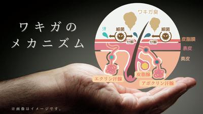 クリアネオクリーム商品のランディングページ