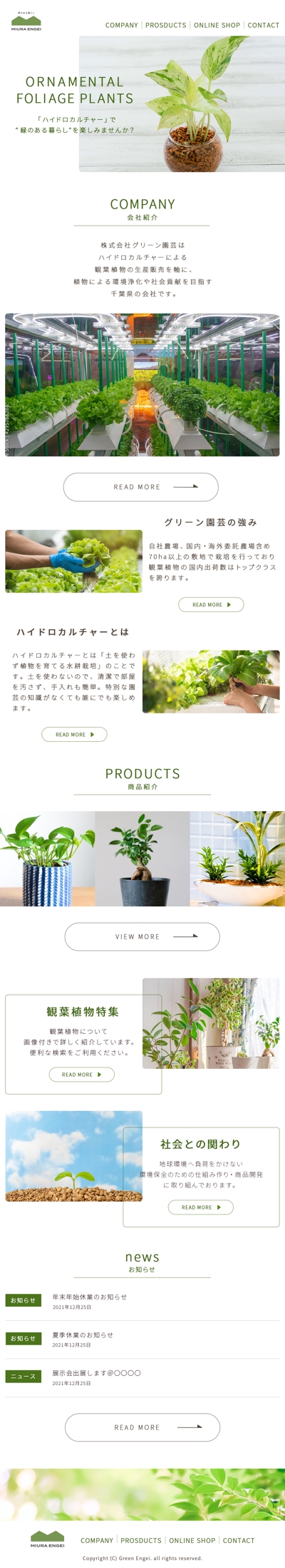 観葉植物販売企業のHPのTOPページ（ランサーズコンペ出品作品）