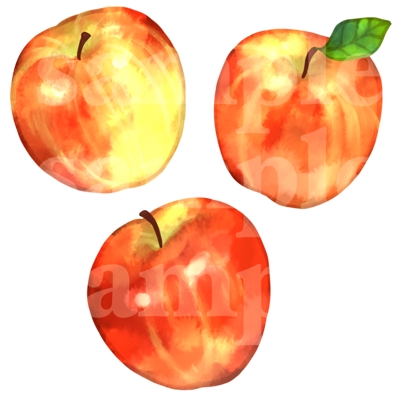 リンゴの水彩風イラスト