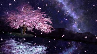 夜桜