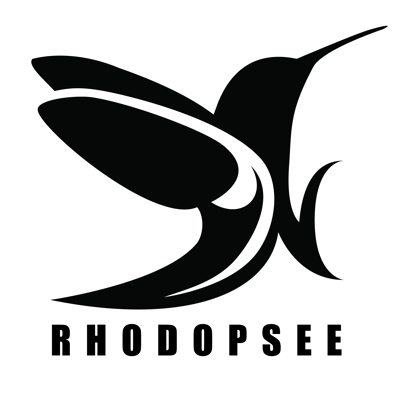 「ドローン事業をしている株式会社RHODOPSEEのロゴ制作」