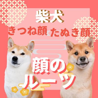 ペット情報の提供とブログ記事への誘導が柴犬情報のインスタ運用代行