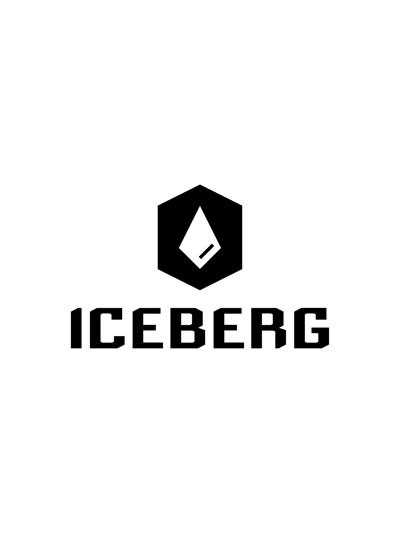 ICEBERG