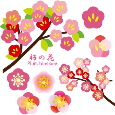 花　植物　梅の花　イラスト　セット