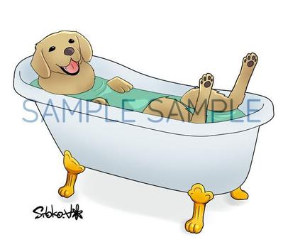 入浴する犬