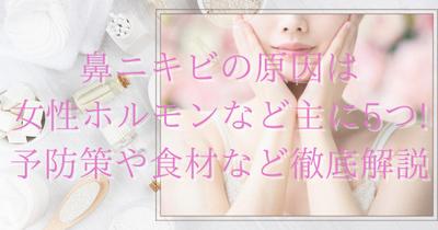 雑記ブログの記事作成（アイキャッチ画像はcanvaにて作成）