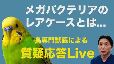 YouTube動画編集　切り抜き編