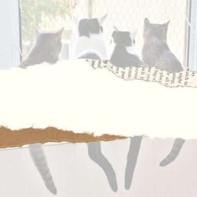 運用しているInstagramのサムネイル