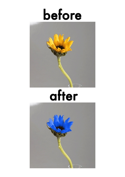 花の色変更
