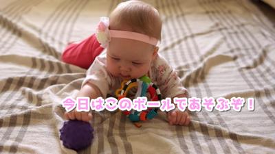 ポートフォリオ