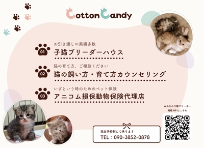 子猫ブリーダーハウス「CottonCandy」店頭チラシ