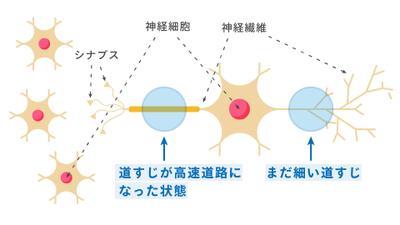 医療系資料用グラフィック③