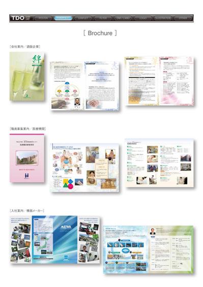 TDO_Pamphlet