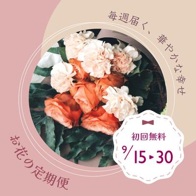 お花の定期便のバナーデザイン