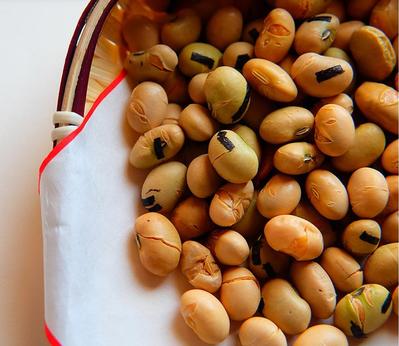 大豆と言えば節分ではないでしょうか？節分の伝統行事！大豆の豆まきの魅力と節分の意味とは？