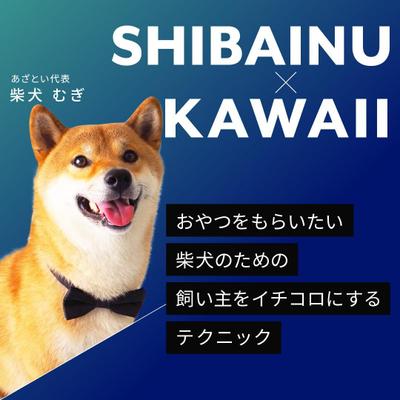 愛犬むぎのなんちゃってセミナー画像