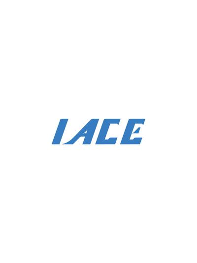 IACE TRAVEL