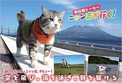 『野良猫ヒーロー ニャン吉が行く!』　出版社:学研プラス