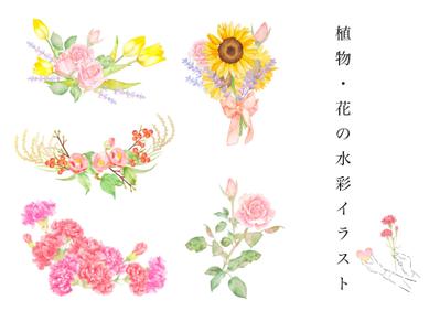 きれいなお花を水彩で描いています。