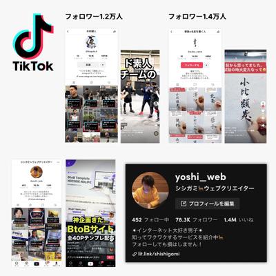 TikTokアカウント運用実績(自アカウント含む)
