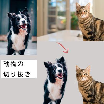 動物切り抜き