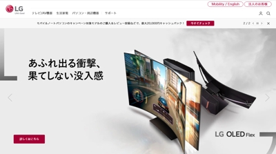 LGエレクトロニクス・ジャパン ホームページデザインコーディングwp