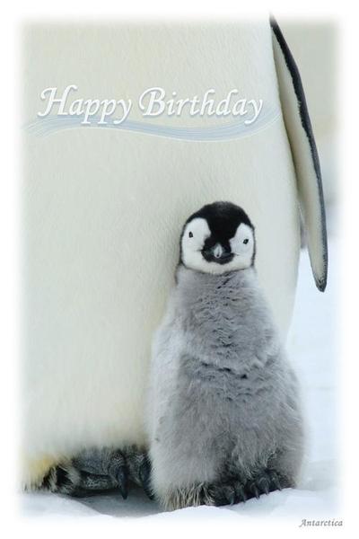 誕生日