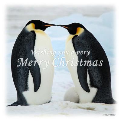 クリスマス
