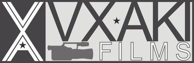 VX-AKI Logo Design