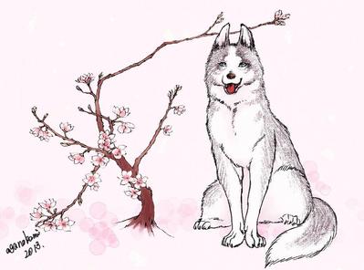 春爛漫