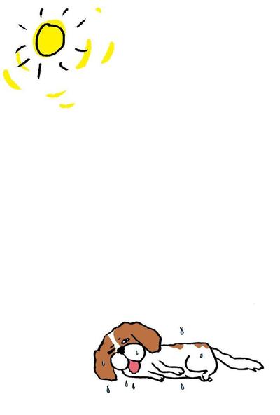 暑中お見舞い（犬）
