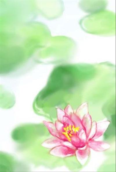 蓮の花