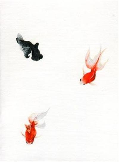 金魚