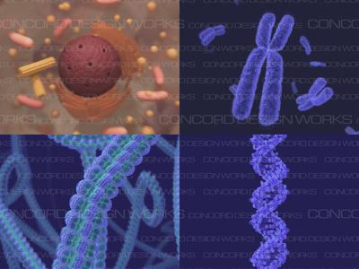 国立科学博物館　DNA