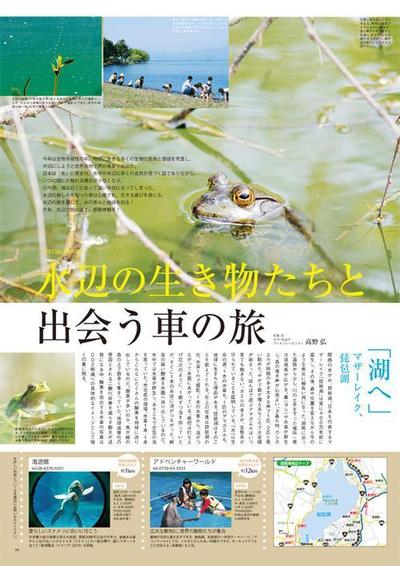 エディトリアルデザイン